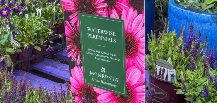 Garden Center greens with product sign