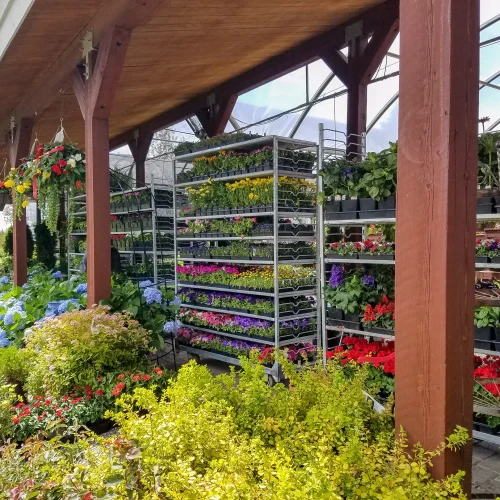 Sun-Valley-Garden-Center-Idaho-Nursery-03